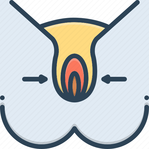 Anus, gynecological, hymen, sexual, vagina, vulva icon - Download on Iconfinder