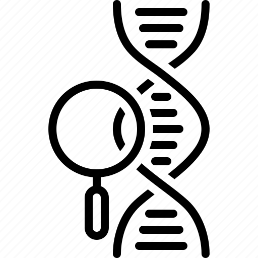 Genetics, dna, evolution, chromosome, gene, heredity, molecule icon - Download on Iconfinder