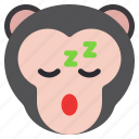 sleeping, monkey, animal, wildlife, pet