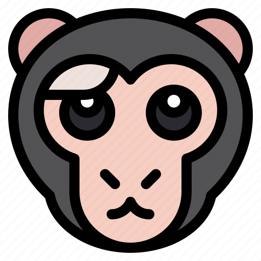 Scared, monkey, animal, wildlife, pet icon - Download on Iconfinder