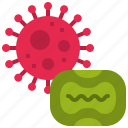 monkeypox, covid19, smallpox, virus, outbreak