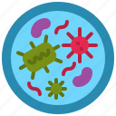 pathogen, monkeypox, smallpox, virus, outbreak, petri dish