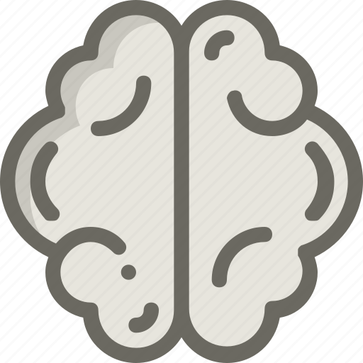Brain, creative, idea, mind, science icon - Download on Iconfinder