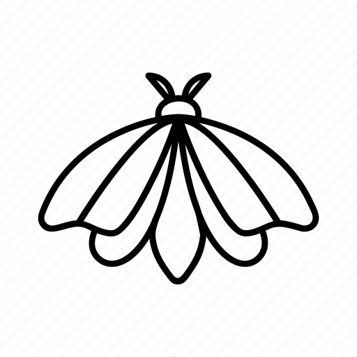 Beetle, bug, contour, fly, mole, moth icon - Download on Iconfinder