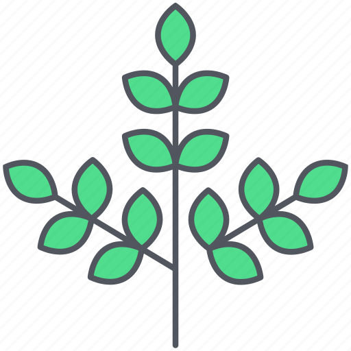 Branch, foliage, forest, greenery, leaves, nature, spring icon - Download on Iconfinder