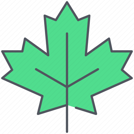 Leaf, maple, canada, foliage, forest, nature, syrup icon - Download on Iconfinder