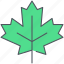 leaf, maple, canada, foliage, forest, nature, syrup 