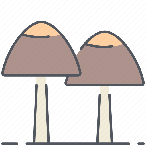 Autumn, forest, fungi, fungus, mushrooms, nature, plant icon - Download on Iconfinder