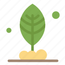 leaf, motivation, plant