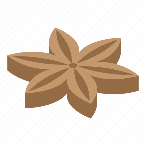 Anise, cartoon, christmas, flower, isometric, logo, star icon - Download on Iconfinder
