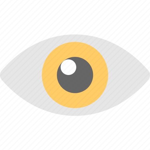 Eye, look, preview, see, watch icon - Download on Iconfinder