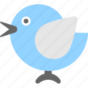 bird, network, social, social media, twitter