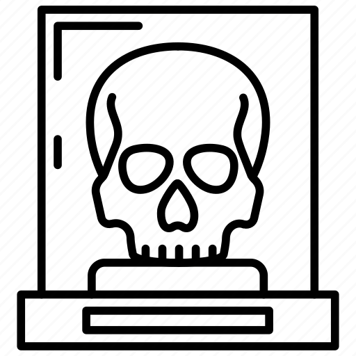 Skull, head, brain, scalp, cranial icon - Download on Iconfinder