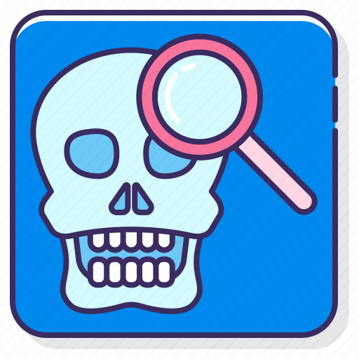 Anthropology, museum, skull icon - Download on Iconfinder