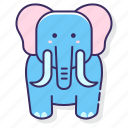 elephant, mammals, mammoth