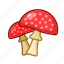 amanita, mushroom, food 