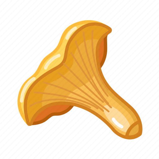 Chanterelle, mushroom, food icon - Download on Iconfinder