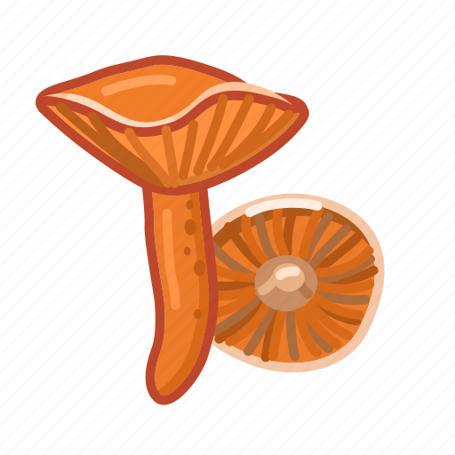 Lactarius, mushroom, food icon - Download on Iconfinder