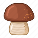 penny, bun, mushroom, food