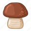 penny, bun, mushroom, food 