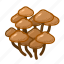 stump, mushroom, food 