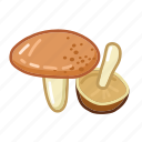 suillus, mushroom, food