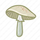 toadstool, mushroom, food