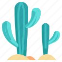 cactus, botanical, desert, plant, dry