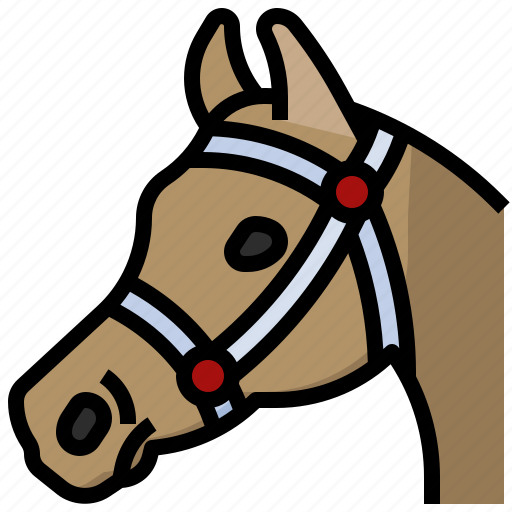 Horse, riding, cultures, tools, and, utensils, saddle icon - Download on Iconfinder