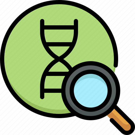 Education, school, learning, biology, science, gene, magnifier icon - Download on Iconfinder