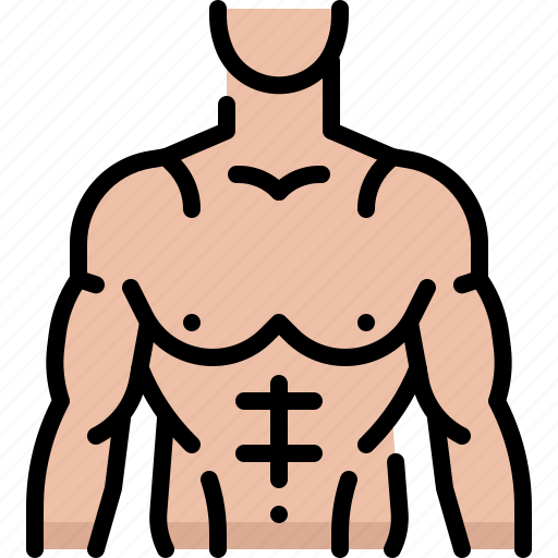 Fitness, gym, exercise, body building, body, muscle, anatomy icon - Download on Iconfinder