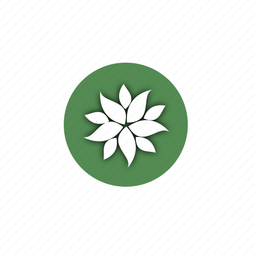 Biology, design, eco, flower, leaves, life, nature icon - Download on Iconfinder