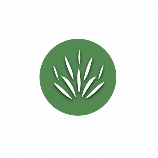 Design, eco, grass, growth, life, natural, nature icon - Download on Iconfinder