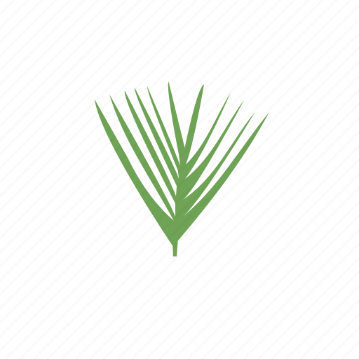 Eco, green, leaves, life, natural, nature, tropical icon - Download on Iconfinder