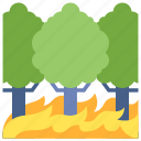 wildfire, forest, jungle, ecology