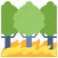 wildfire, forest, jungle, ecology 