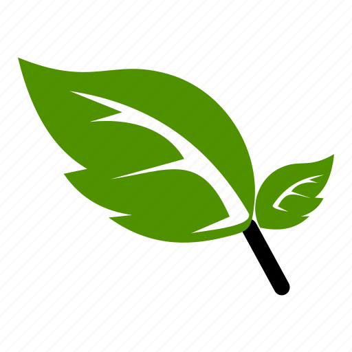 Green, leaf, natural, flower, nature icon - Download on Iconfinder