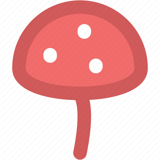 Fungus, mushroom, oyster mushrooms, toadstool, vegetable icon - Download on Iconfinder