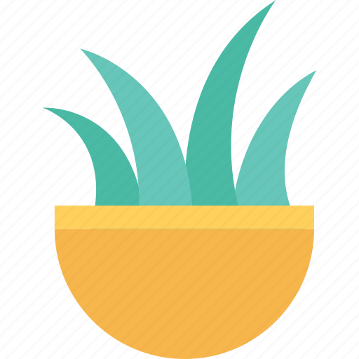 Grass plant, grass pot, green, sod, turf icon - Download on Iconfinder