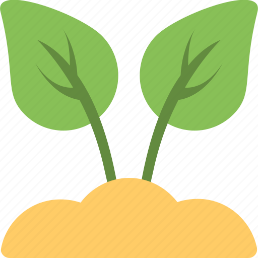 Foliage, leaves, plant, sapling, seedling icon - Download on Iconfinder