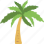 beach, nature, palm, summer, tree 