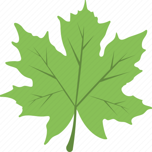 Autumn, foliage, leaf, maple leaf, nature icon - Download on Iconfinder