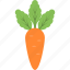 carrot, food, organic, root vegetable, vegetable 