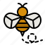 bee, zoology, honey, entomology, wasp 