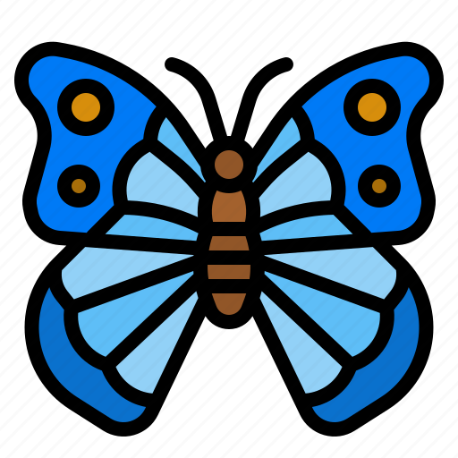 Butterfly, insect, blue, animals, moths icon - Download on Iconfinder