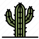 cactus, dry, botanical, desert, plant