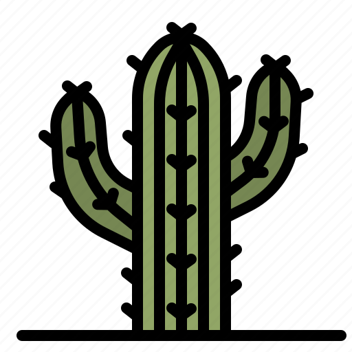 Cactus, dry, botanical, desert, plant icon - Download on Iconfinder