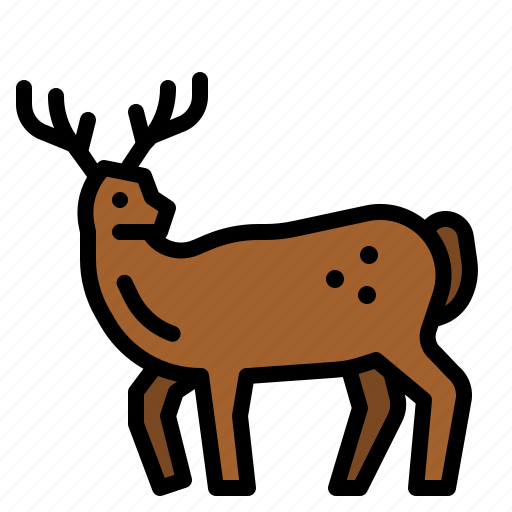Deer, wild, life, animal, kingdom icon - Download on Iconfinder