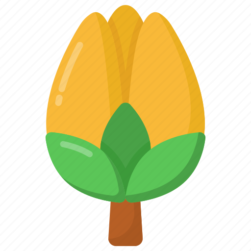 Tulip flower, tulip, gesneriana, floral, blossom icon - Download on Iconfinder