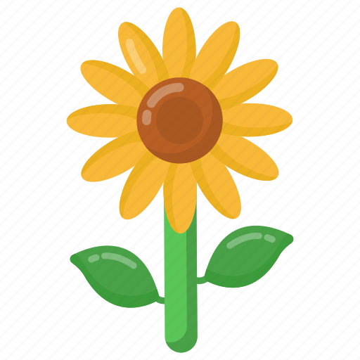 Helianthus, sunflower, flower, nature, floral icon - Download on Iconfinder
